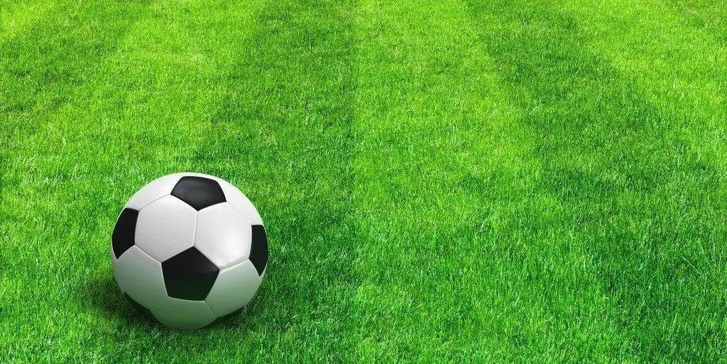 竞彩足球胜平负旧版应用界面展示